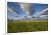 Coastal Meadow at Hallo Bay in Katmai National Park-Paul Souders-Framed Photographic Print