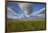 Coastal Meadow at Hallo Bay in Katmai National Park-Paul Souders-Framed Photographic Print