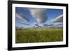 Coastal Meadow at Hallo Bay in Katmai National Park-Paul Souders-Framed Photographic Print