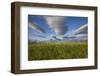 Coastal Meadow at Hallo Bay in Katmai National Park-Paul Souders-Framed Photographic Print