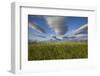 Coastal Meadow at Hallo Bay in Katmai National Park-Paul Souders-Framed Photographic Print