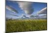 Coastal Meadow at Hallo Bay in Katmai National Park-Paul Souders-Mounted Photographic Print