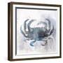 Coastal Mist Crab-Ken Roko-Framed Art Print