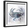 Coastal Mist Crab-Ken Roko-Framed Art Print