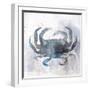 Coastal Mist Crab-Ken Roko-Framed Art Print