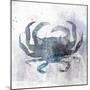 Coastal Mist Crab-Ken Roko-Mounted Art Print