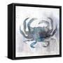 Coastal Mist Crab-Ken Roko-Framed Stretched Canvas