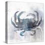 Coastal Mist Crab-Ken Roko-Stretched Canvas