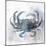 Coastal Mist Crab-Ken Roko-Mounted Art Print