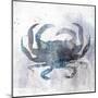 Coastal Mist Crab-Ken Roko-Mounted Art Print