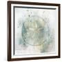 Coastal Mist Sand Dollar-Ken Roko-Framed Art Print