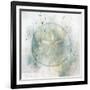 Coastal Mist Sand Dollar-Ken Roko-Framed Art Print