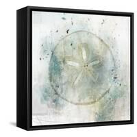 Coastal Mist Sand Dollar-Ken Roko-Framed Stretched Canvas