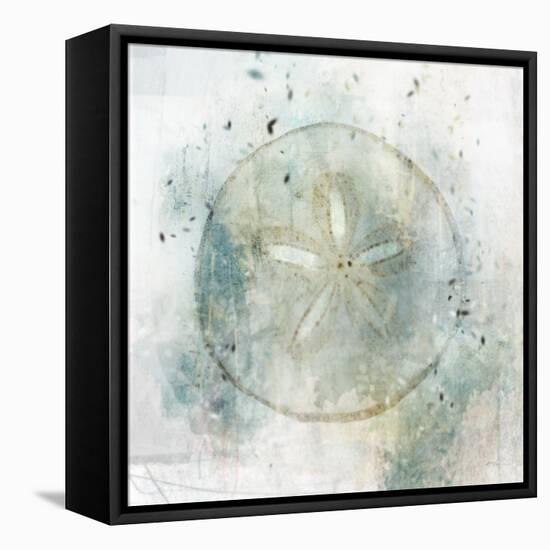 Coastal Mist Sand Dollar-Ken Roko-Framed Stretched Canvas