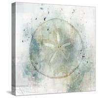 Coastal Mist Sand Dollar-Ken Roko-Stretched Canvas