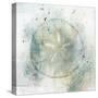 Coastal Mist Sand Dollar-Ken Roko-Stretched Canvas