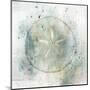 Coastal Mist Sand Dollar-Ken Roko-Mounted Art Print