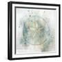 Coastal Mist Sand Dollar-Ken Roko-Framed Art Print