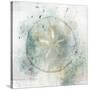 Coastal Mist Sand Dollar-Ken Roko-Stretched Canvas