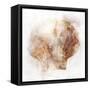 Coastal Mist Scallop-Ken Roko-Framed Stretched Canvas