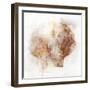 Coastal Mist Scallop-Ken Roko-Framed Art Print