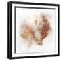 Coastal Mist Scallop-Ken Roko-Framed Art Print