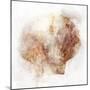 Coastal Mist Scallop-Ken Roko-Mounted Art Print