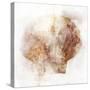 Coastal Mist Scallop-Ken Roko-Stretched Canvas