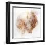 Coastal Mist Scallop-Ken Roko-Framed Art Print