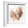 Coastal Mist Scallop-Ken Roko-Framed Art Print