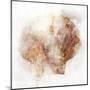 Coastal Mist Scallop-Ken Roko-Mounted Art Print