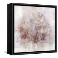 Coastal Mist Sea Fan-Ken Roko-Framed Stretched Canvas