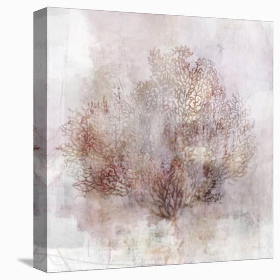 Coastal Mist Sea Fan-Ken Roko-Stretched Canvas