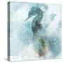 Coastal Mist Seahorse-Ken Roko-Stretched Canvas