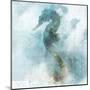 Coastal Mist Seahorse-Ken Roko-Mounted Art Print