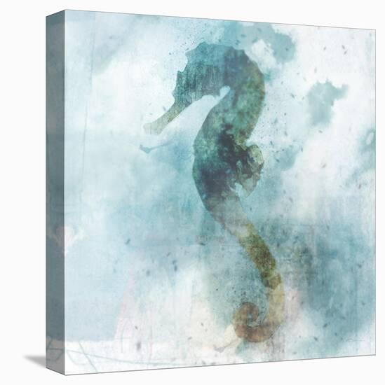 Coastal Mist Seahorse-Ken Roko-Stretched Canvas
