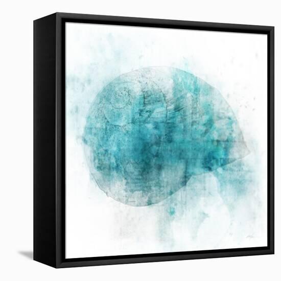 Coastal Mist Shell-Ken Roko-Framed Stretched Canvas