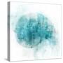 Coastal Mist Shell-Ken Roko-Stretched Canvas