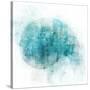 Coastal Mist Shell-Ken Roko-Stretched Canvas