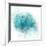 Coastal Mist Shell-Ken Roko-Framed Art Print