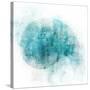 Coastal Mist Shell-Ken Roko-Stretched Canvas