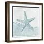 Coastal Mosaic - Starfish-Belle Poesia-Framed Giclee Print