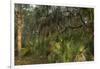 Coastal Oak Forest with Spanish Moss, Little St Simons Island, Georgia-Pete Oxford-Framed Photographic Print