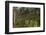 Coastal Oak Forest with Spanish Moss, Little St Simons Island, Georgia-Pete Oxford-Framed Photographic Print