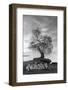 Coastal Oak Series No. 2-Alan Blaustein-Framed Photographic Print