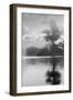 Coastal Oak Series No. 34-Alan Blaustein-Framed Photographic Print