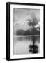 Coastal Oak Series No. 34-Alan Blaustein-Framed Photographic Print