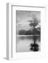 Coastal Oak Series No. 34-Alan Blaustein-Framed Photographic Print