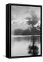 Coastal Oak Series No. 34-Alan Blaustein-Framed Stretched Canvas