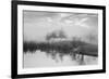 Coastal Oak Series No. 43-Alan Blaustein-Framed Photographic Print